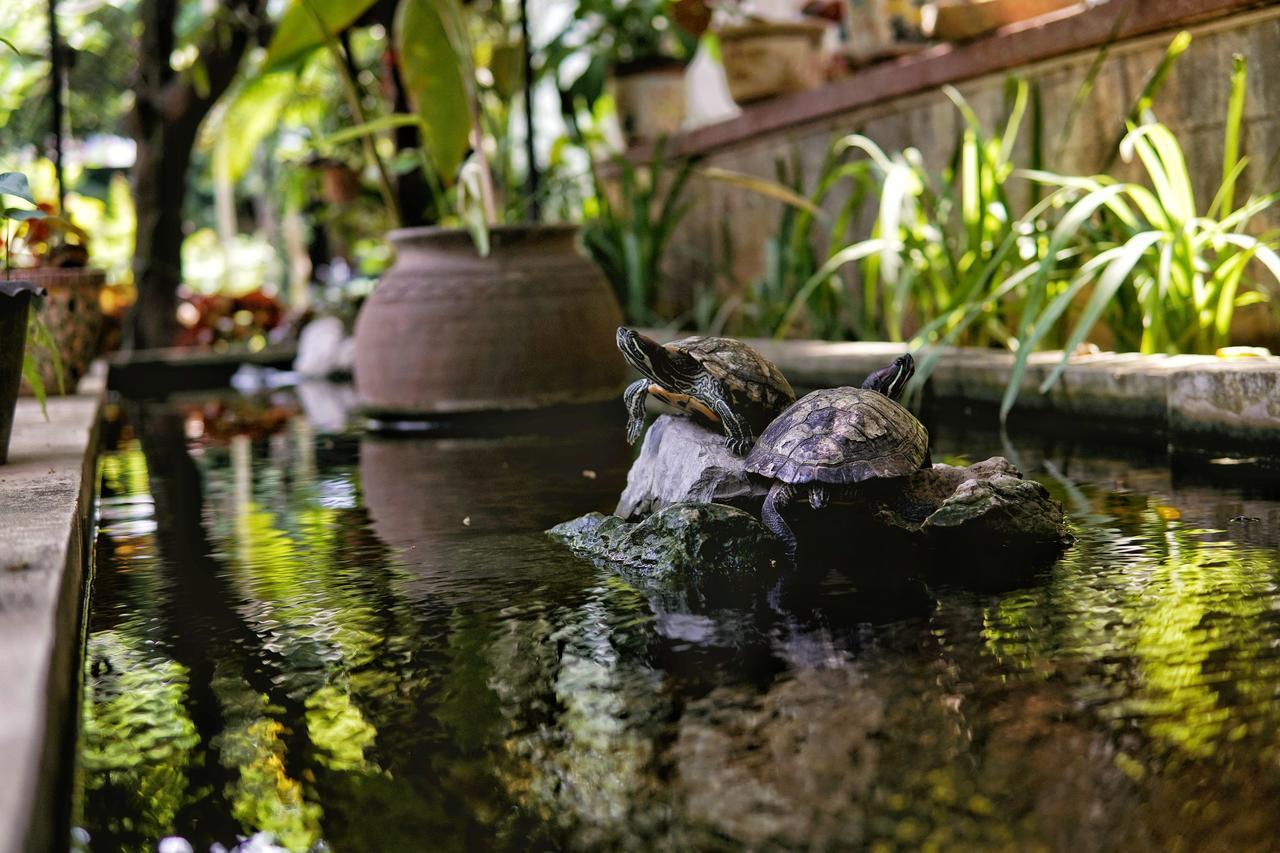 Lani'S House By The Ponds Hotel Vientiane Exterior foto